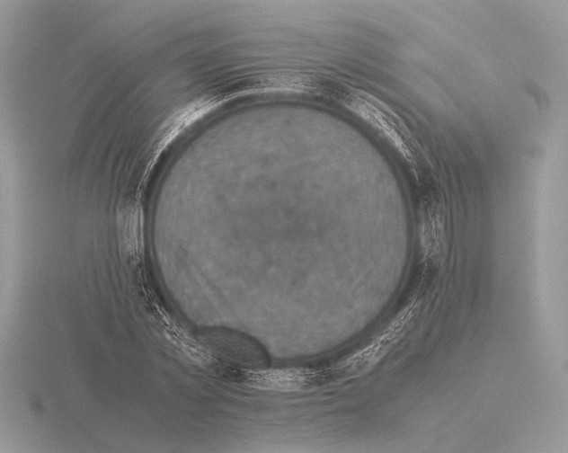 X0000115310781200912141136