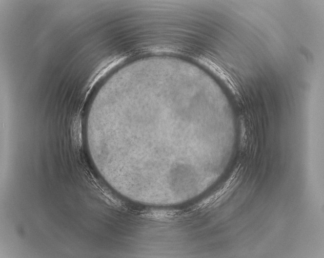 X0000115310782200912141136