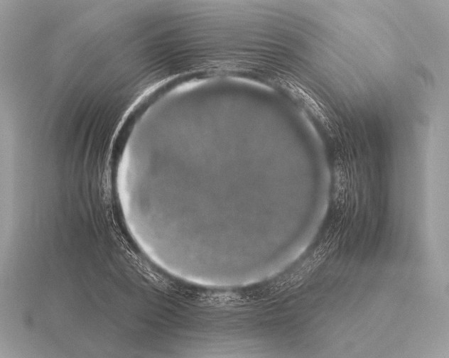 X0000115310784200912141136