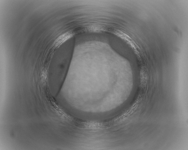 X0000115310785200912141136