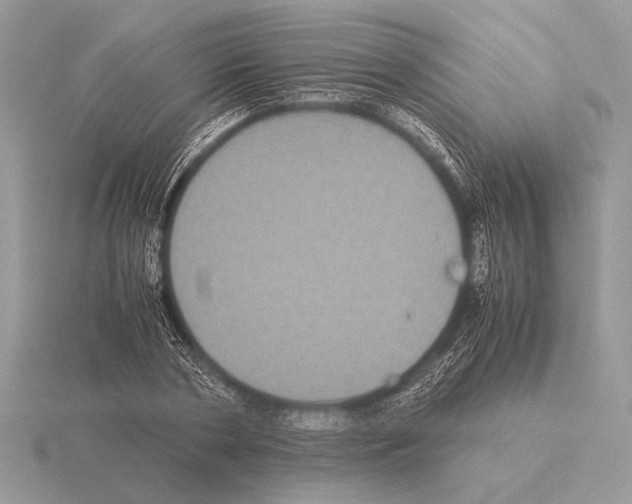 X0000115310786200912141136