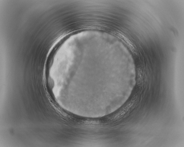 X0000115310788200912141136