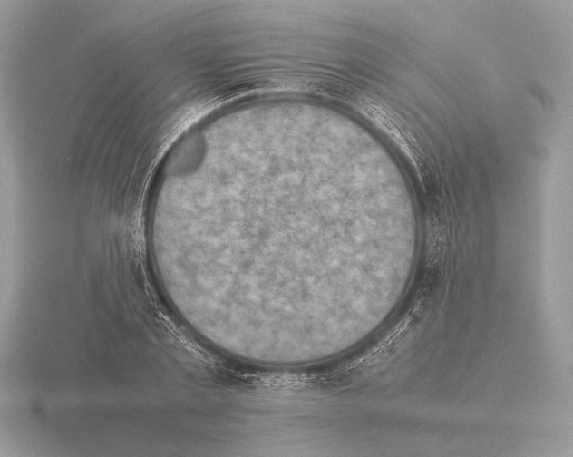 X0000115310789200912141136