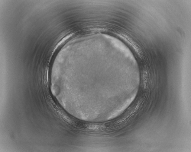 X0000115310790200912141136