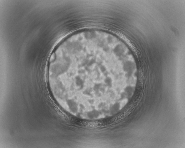 X0000115310791200912141136