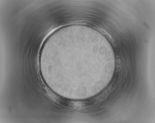 X0000115310792200912141136