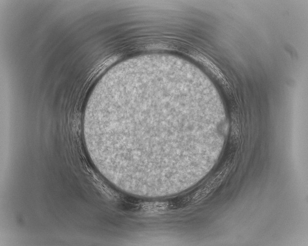 X0000115310793200912141136