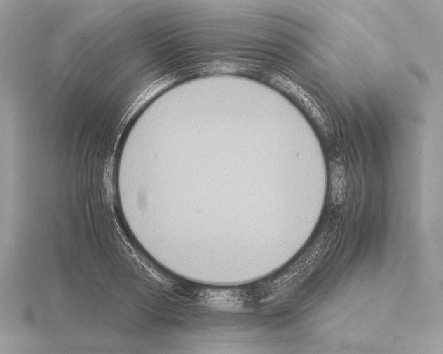 X0000115310794200912141136