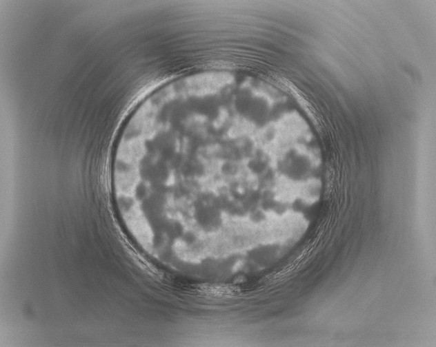 X0000115310795200912141136