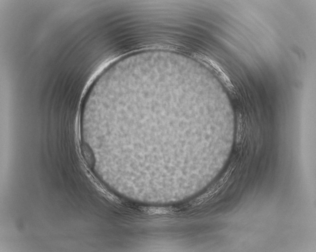 X0000115310796200912141136