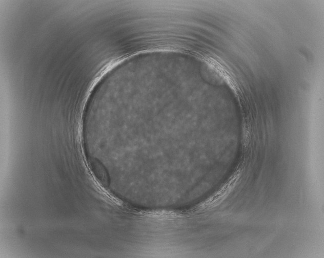 X0000115310797200912141136