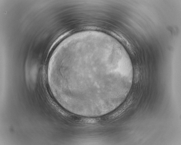 X0000115310798200912141136