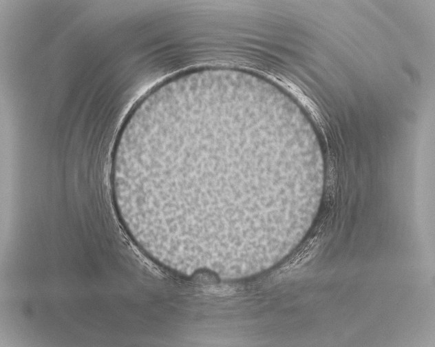 X0000115310799200912141136