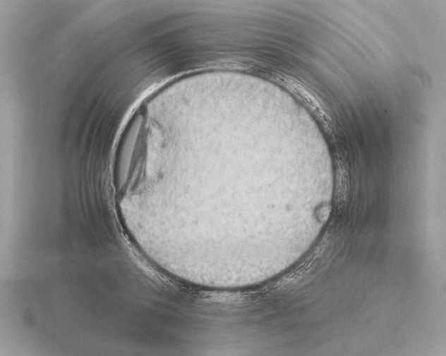 X0000115310800200912141136