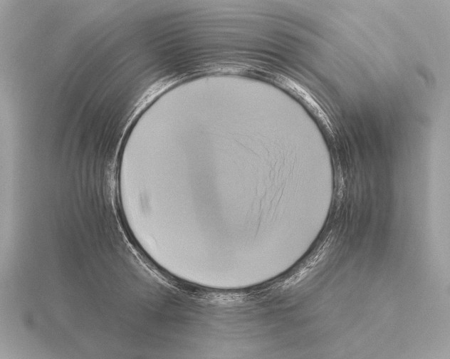 X0000115310802200912141136