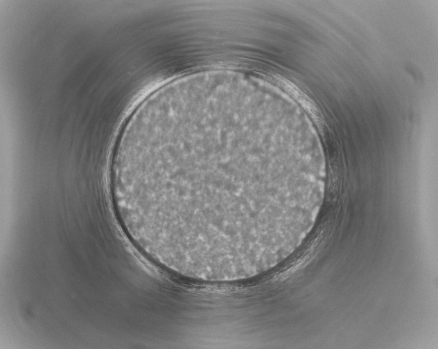 X0000115310803200912141136