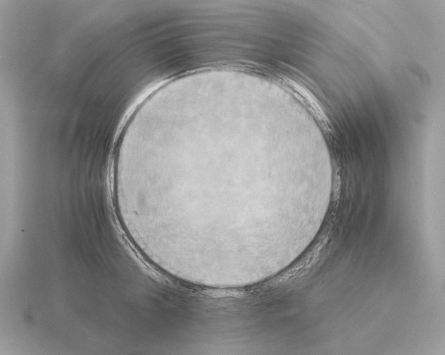 X0000115310804200912141136