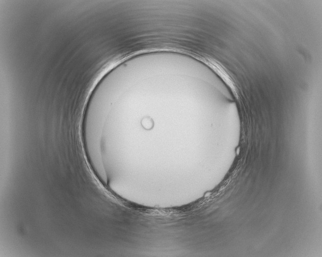 X0000115310805200912141136