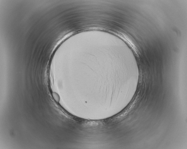 X0000115310806200912141136