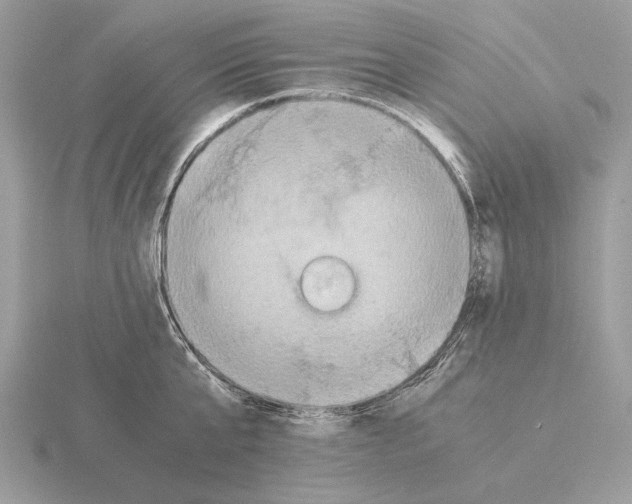 X0000115310807200912141136