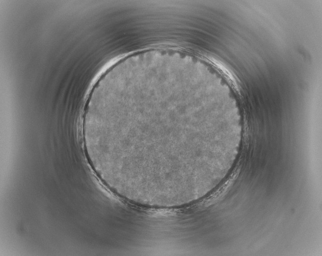 X0000115310808200912141136