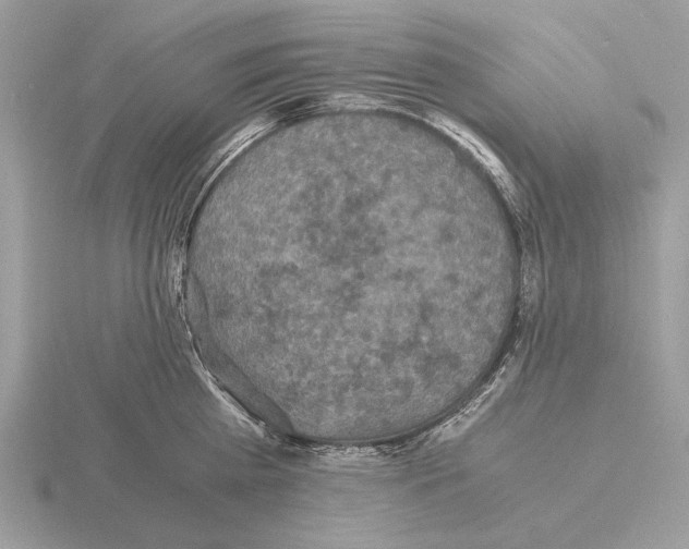 X0000115310809200912141136