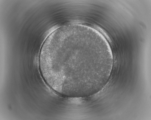 X0000115310810200912141136