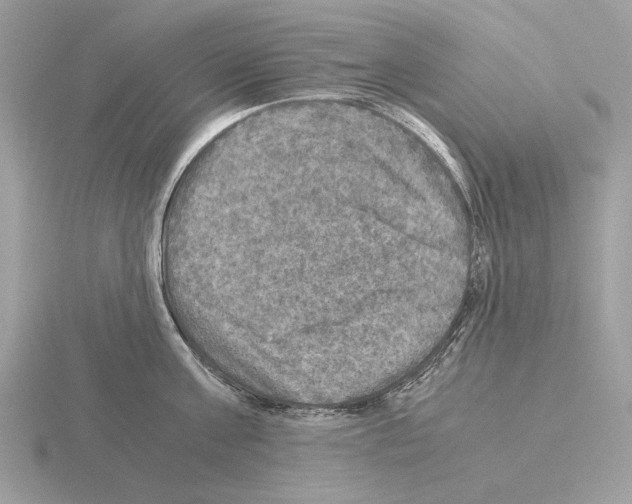 X0000115310811200912141136