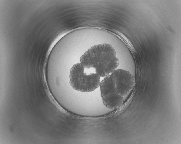 X0000115310812200912141136