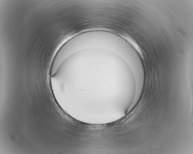 X0000115310813200912141136