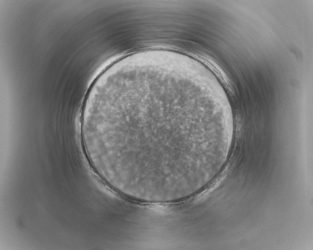 X0000115310814200912141136