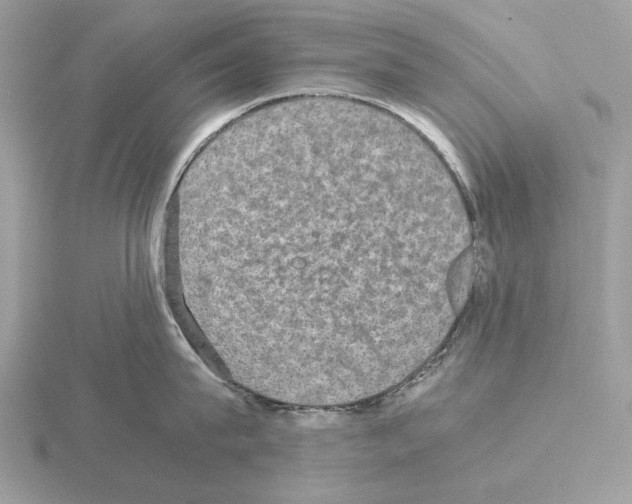 X0000115310815200912141136