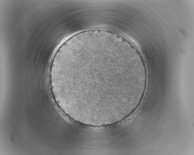 X0000115310816200912141135