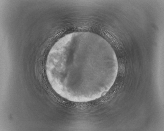 X0000115310817200912141135