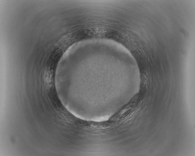 X0000115310818200912141135