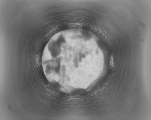 X0000115310819200912141135