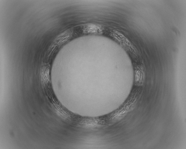 X0000115310820200912141135