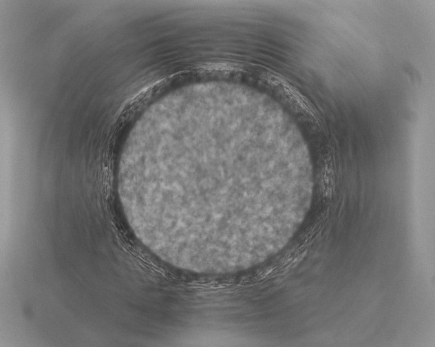 X0000115310821200912141135