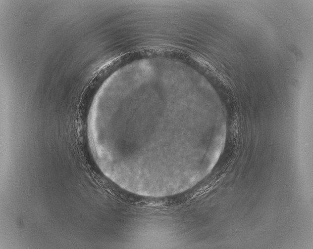 X0000115310822200912141135