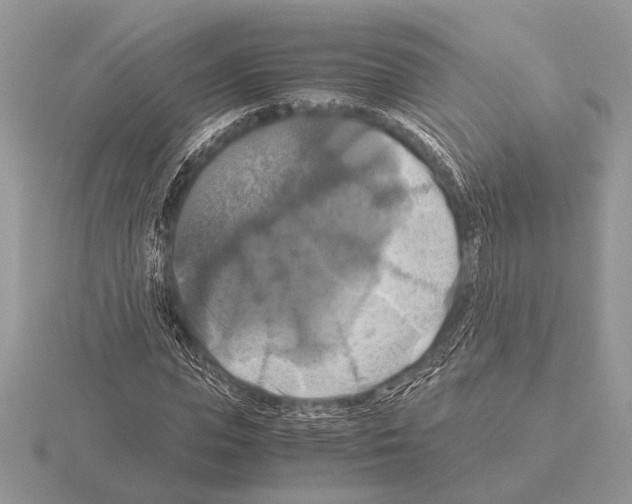 X0000115310823200912141135