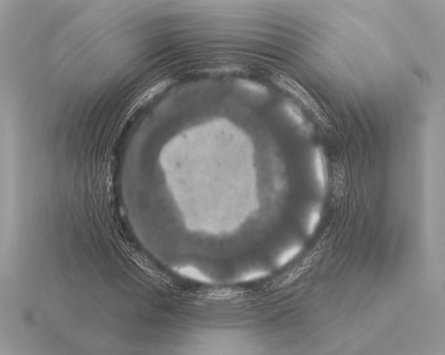 X0000115310826200912141135