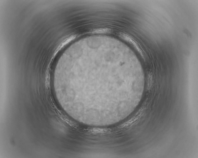 X0000115310827200912141135