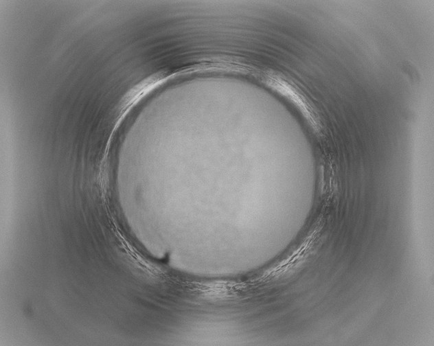 X0000115310828200912141135