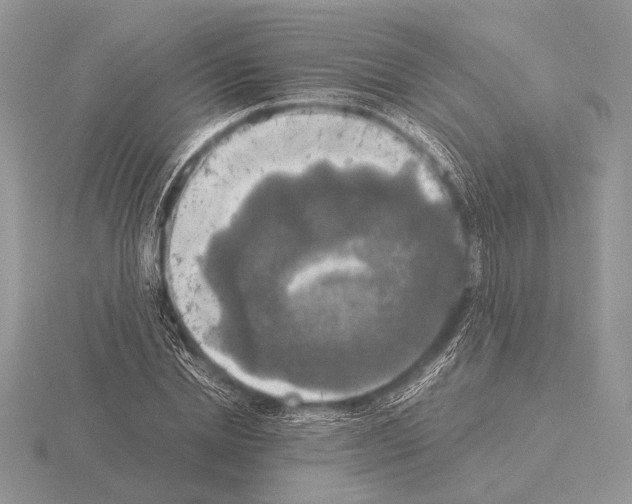 X0000115310830200912141135