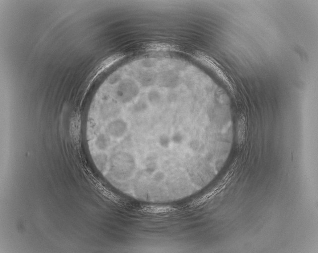 X0000115310831200912141135