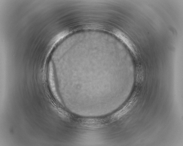 X0000115310832200912141135