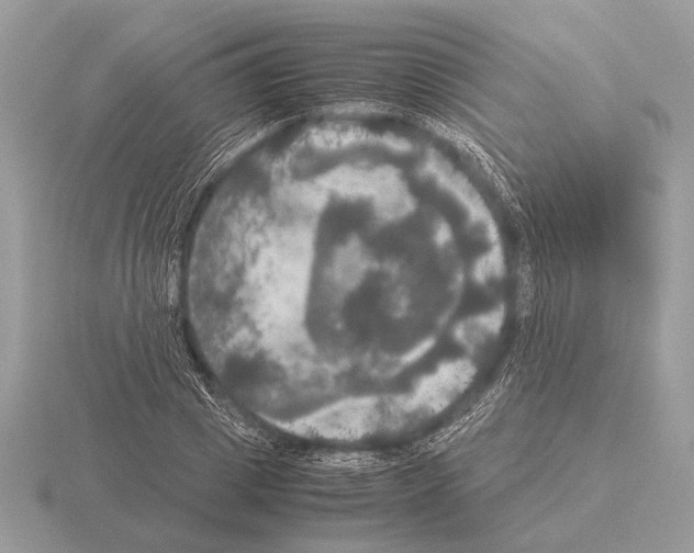 X0000115310833200912141135