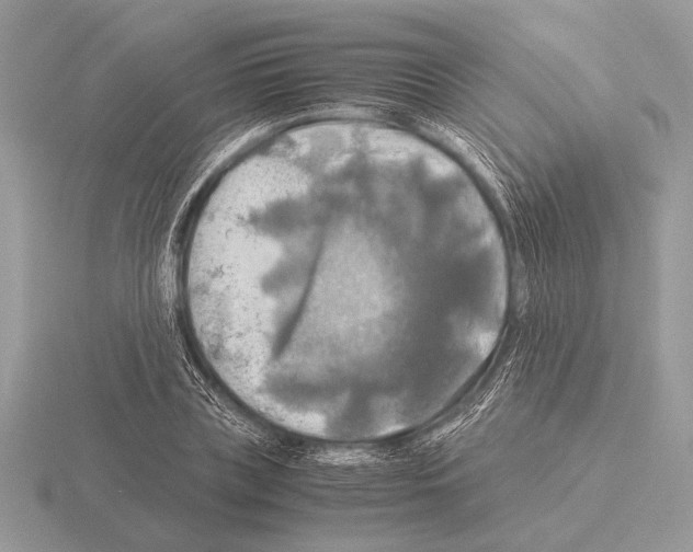 X0000115310835200912141135