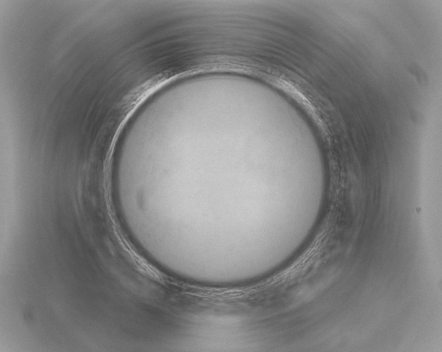 X0000115310836200912141135