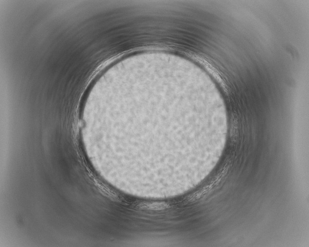 X0000115310837200912141135